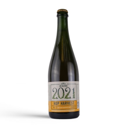 De Ranke Hop Harvest 2025