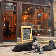 Arcade Beer & Liquor: Huddersfield's premier craft beer bottle shop & bar